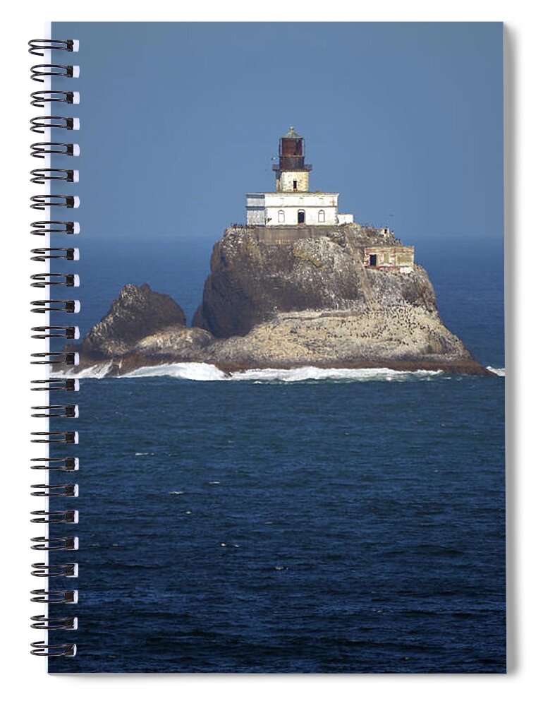 Denise Bruchman Spiral Notebook featuring the photograph Terrible Tilly by Denise Bruchman