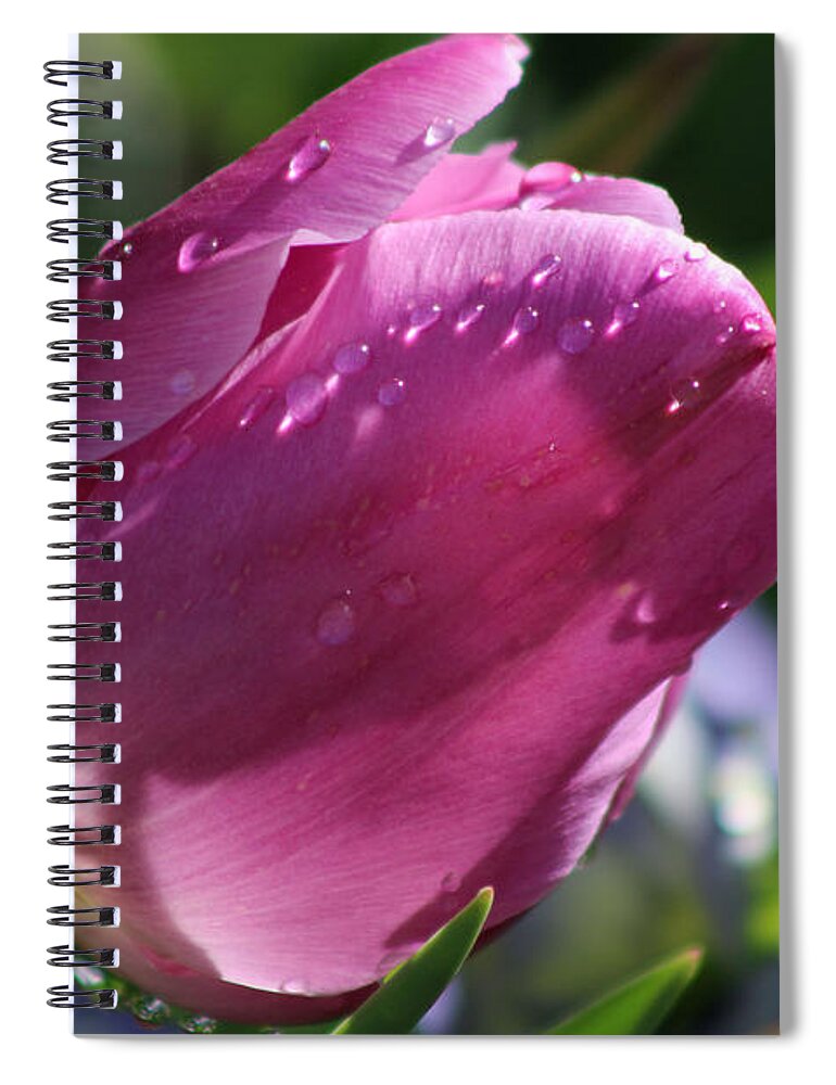 Tulip Spiral Notebook featuring the photograph Texas Blooms 130 by Pamela Critchlow