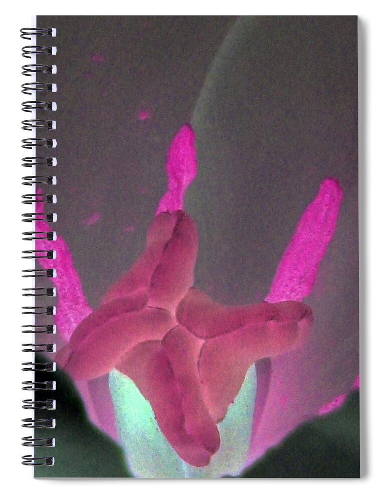 Tulip Spiral Notebook featuring the photograph Texas Blooms - Macro - PhotoPower 3362 by Pamela Critchlow