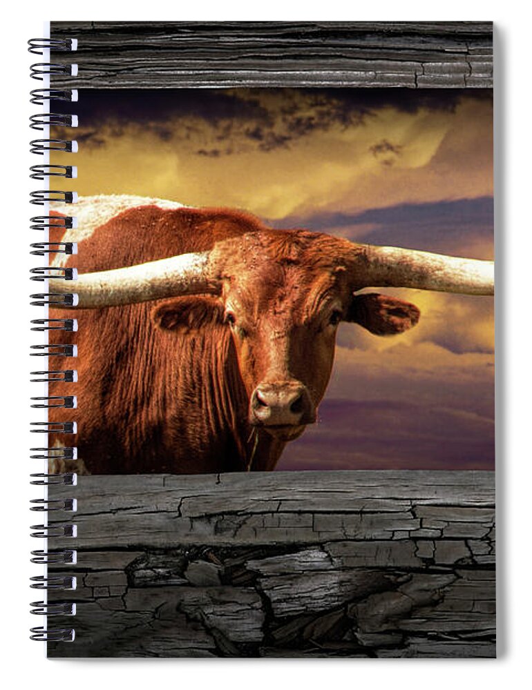 Longhorn Spiral Notebook featuring the photograph Texas Longhorn Steer at Sunset looking through the Fence Rails by Randall Nyhof