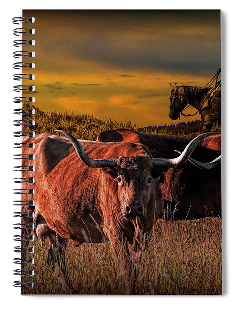 Longhorn Spiral Notebook featuring the photograph Texas Longhorn Steers and Cowboy at Sunset by Randall Nyhof