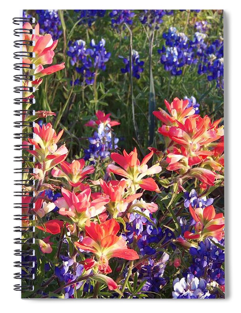 Bluebonnet Prints Spiral Notebook featuring the painting Texas Wildflowers by Karen Kennedy Chatham