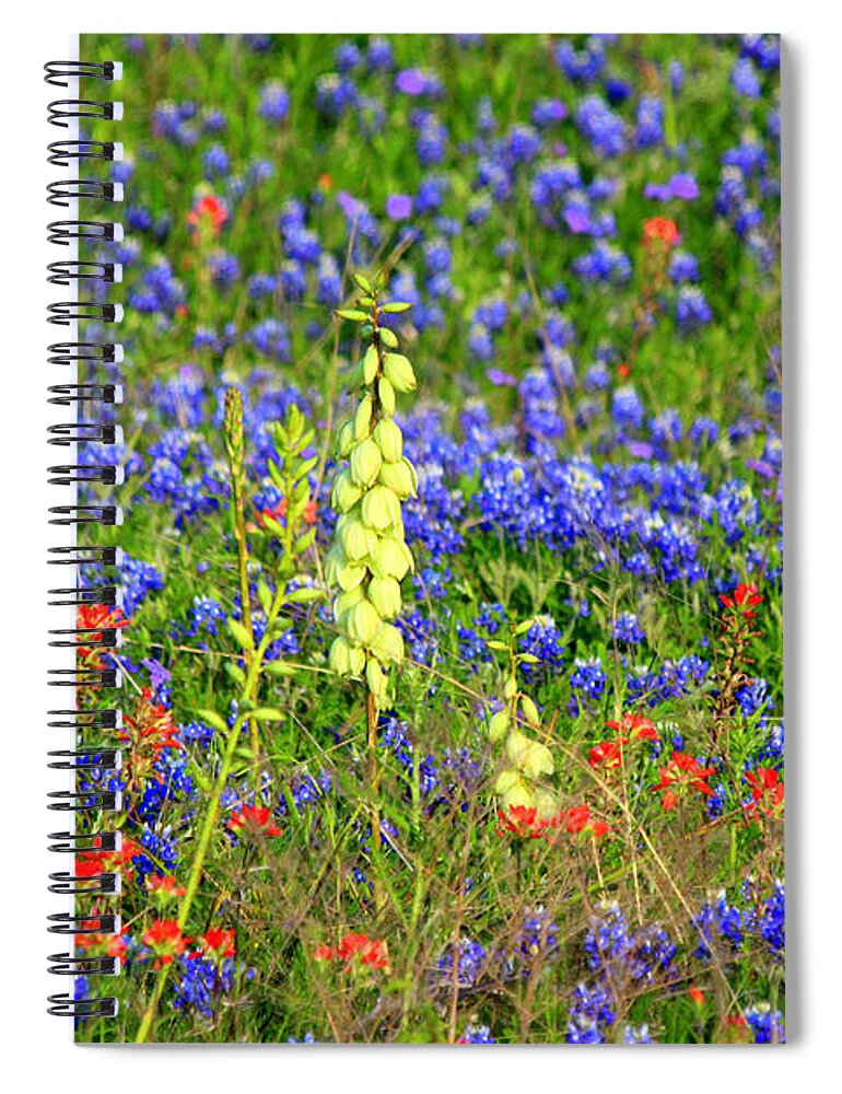 Texas Wildflowers Spiral Notebook featuring the photograph Texas Wildflowers by Kathy White