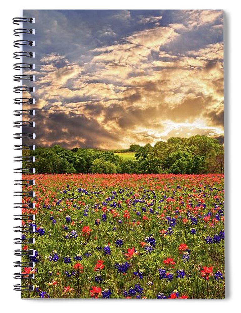 Tx Spiral Notebook featuring the photograph Texas Wildflowers Under Sunset Skies by Lynn Bauer