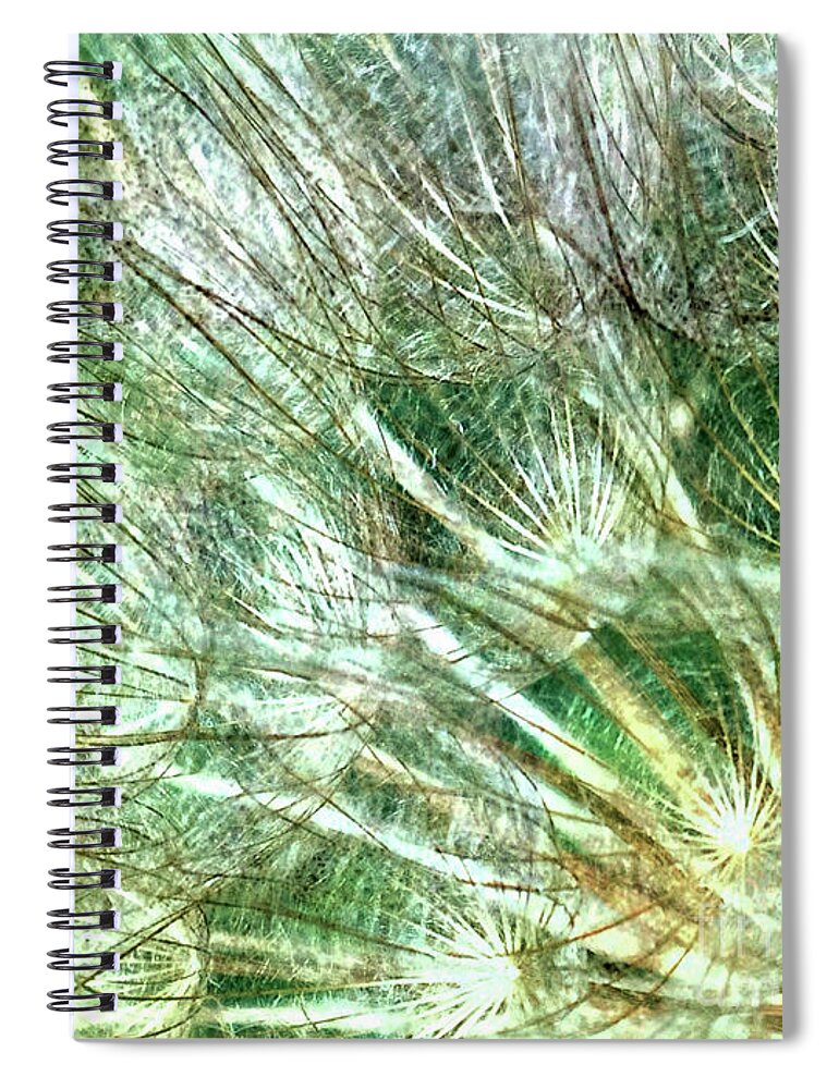 Seeds Spiral Notebook featuring the digital art Textured Seeds by Rebecca Langen