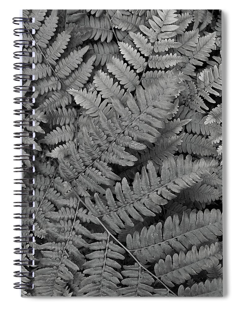 Fern Spiral Notebook featuring the photograph Textures of the Forest by Holly Ross