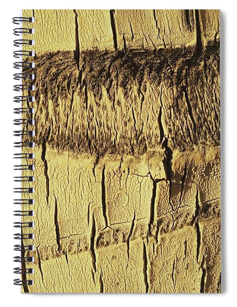 Palmtree Spiral Notebook featuring the photograph Textures. #palmtrunk #palmtree #pattern by Ginger Oppenheimer