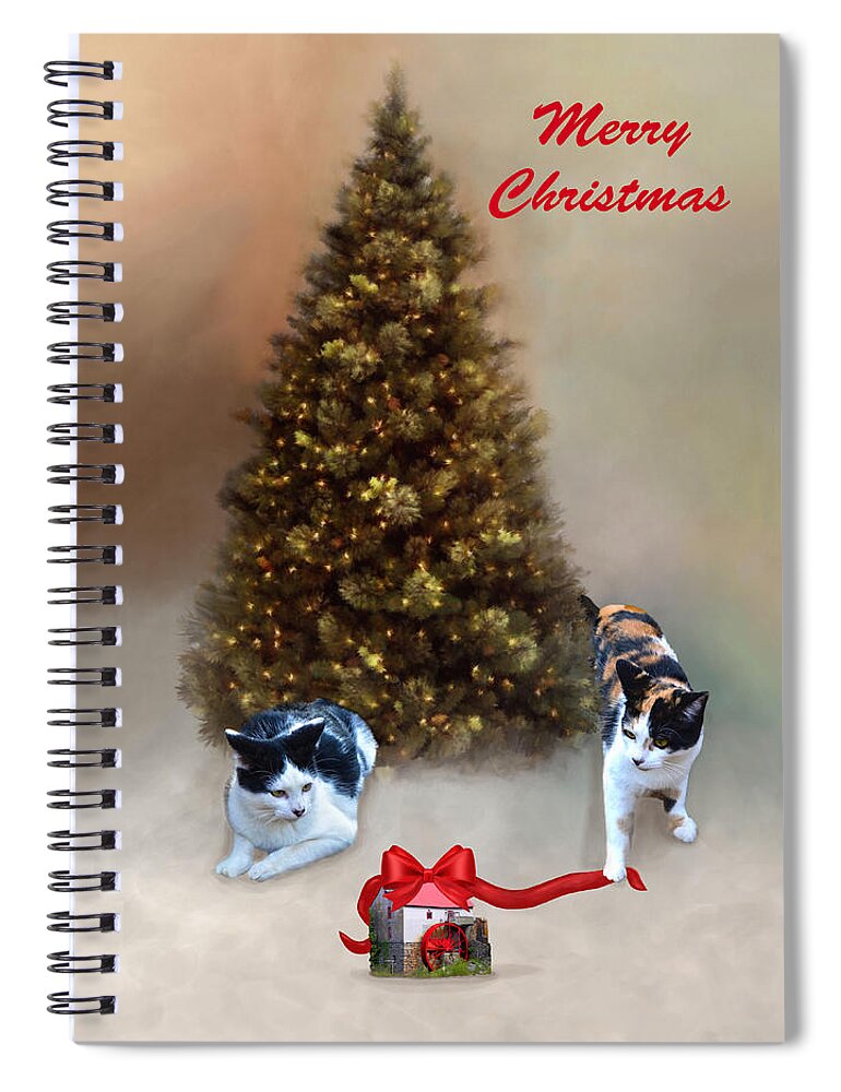 Kittens Spiral Notebook featuring the photograph Thank You For Giving Us A Home Old Mill of Guilford by Sandi OReilly