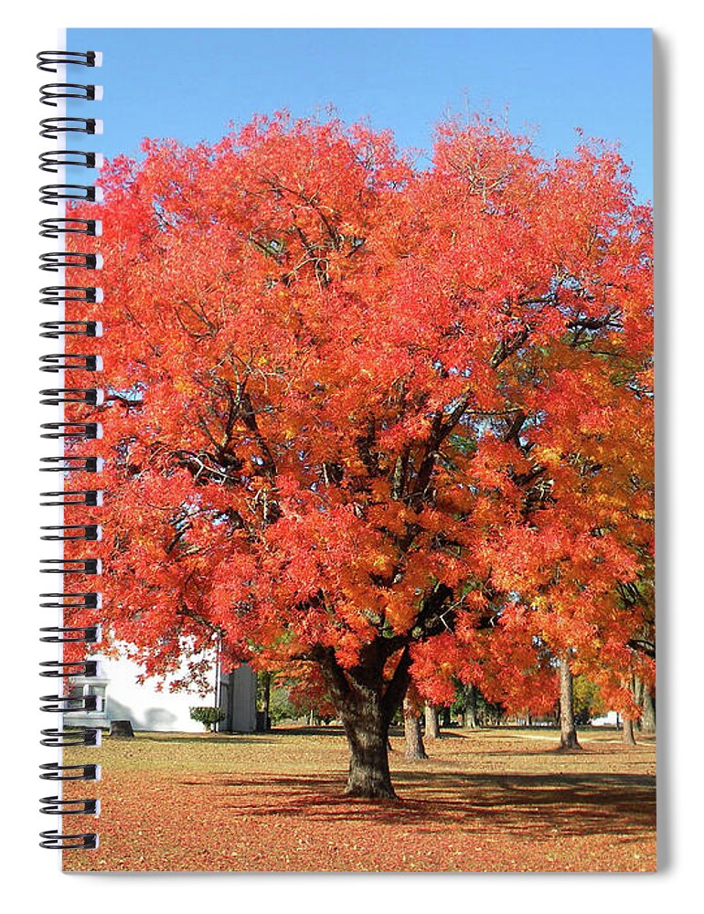 Thanksgiving Spiral Notebook featuring the photograph Thanksgiving Blessings by Matthew Seufer
