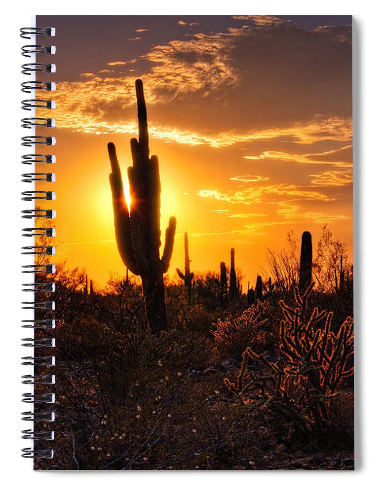 Saguaro Sunset Spiral Notebook featuring the photograph That Golden Desert Light by Saija Lehtonen
