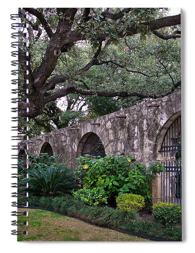 Tree Spiral Notebook featuring the photograph The Alamo Oak by David and Carol Kelly