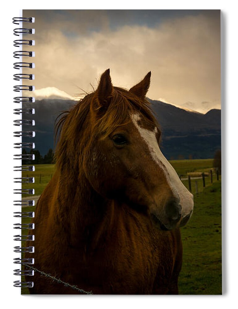 Alps Spiral Notebook featuring the photograph The Alpine Pasture by Andrew Matwijec