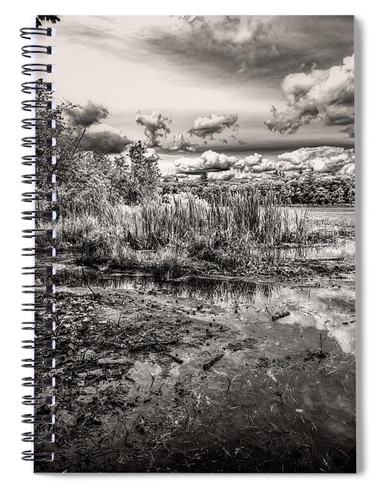 Landscape Spiral Notebook featuring the photograph The Basin and Snails by Bob Orsillo