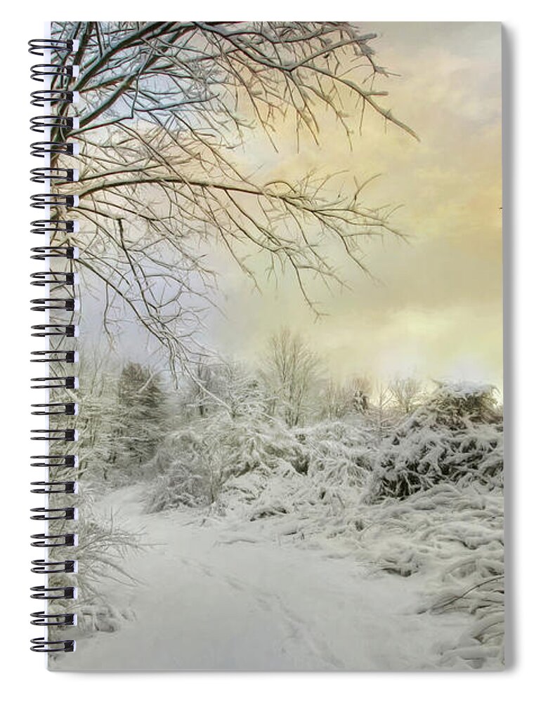 Winter Spiral Notebook featuring the photograph The Beauty of Winter by Lori Deiter