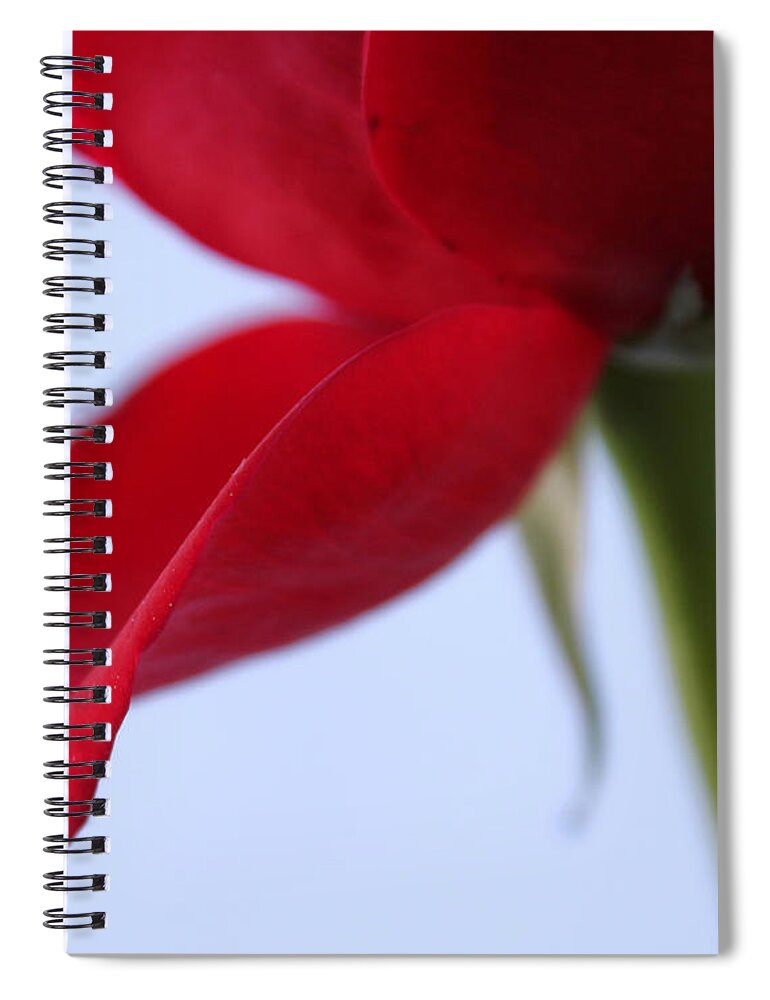 Rose Spiral Notebook featuring the photograph The Beginning Of Love by Krissy Katsimbras