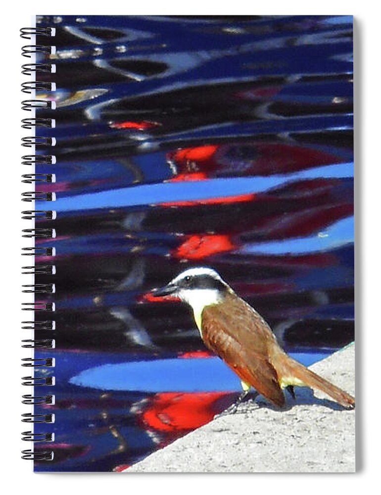 Bird Spiral Notebook featuring the photograph The Bird 1 by Ron Kandt