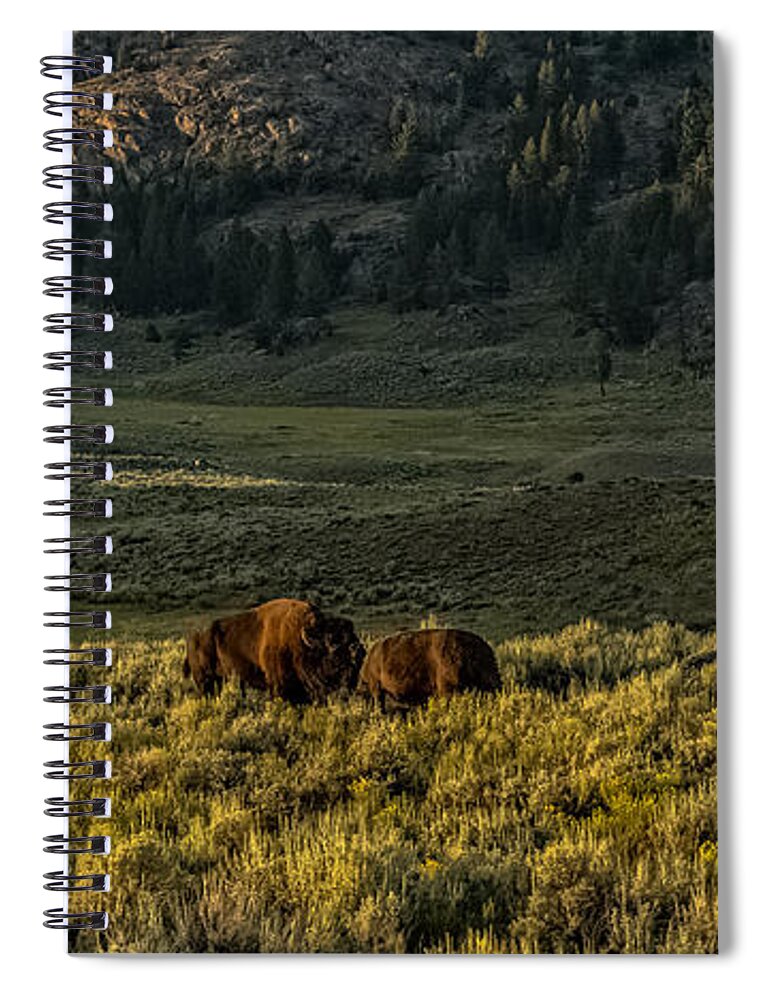 Bison Spiral Notebook featuring the photograph The Bison Rut In Yellowstone by Yeates Photography