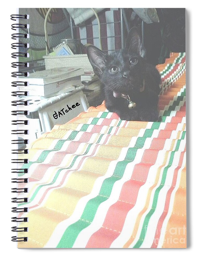 Black Spiral Notebook featuring the photograph The Black Kitten by Sukalya Chearanantana