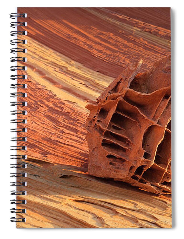 Bizarre Spiral Notebook featuring the photograph The Bone Yard in the North Coyote Buttes, Arizona by Henk Meijer Photography