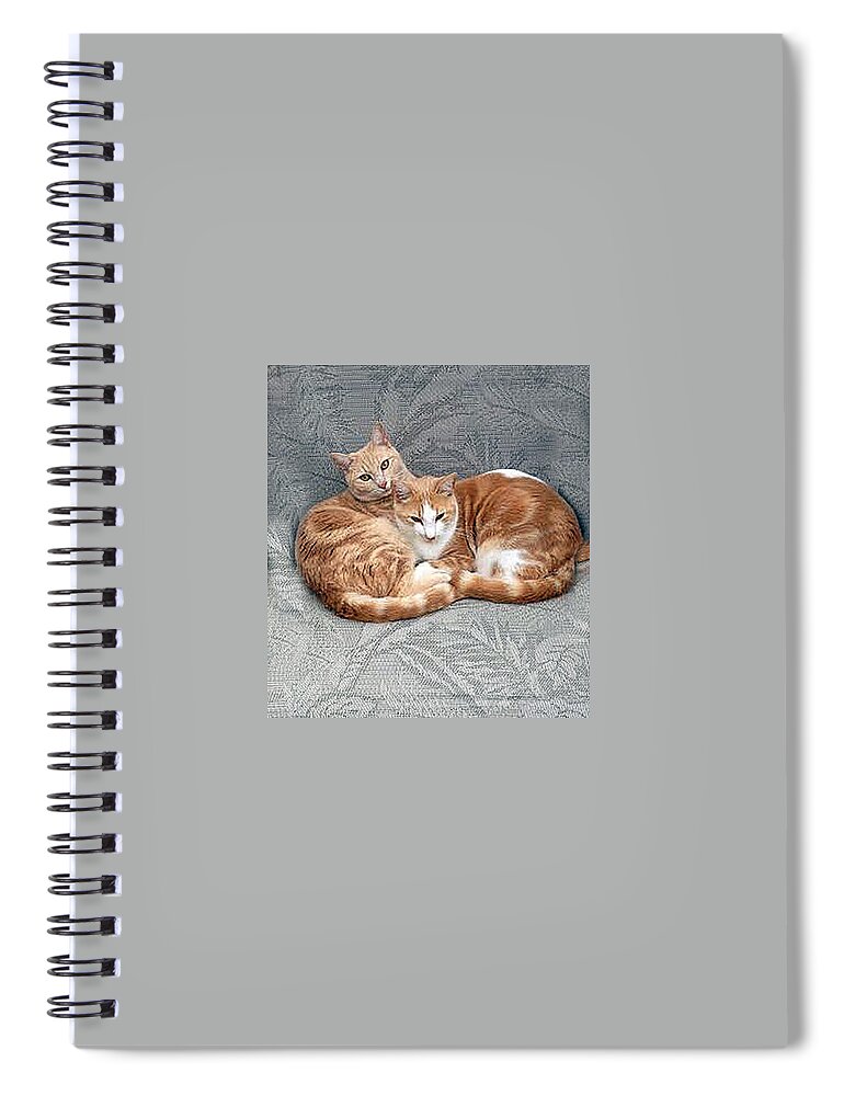 Cat Spiral Notebook featuring the photograph The Boys by Bob Johnson