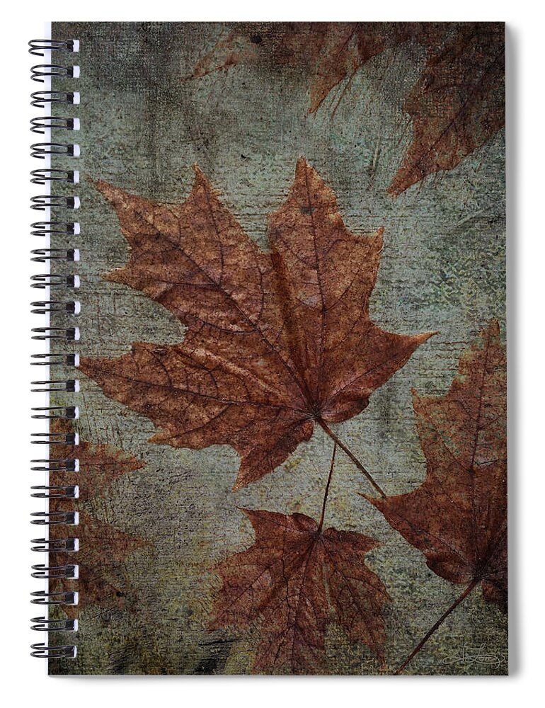Nature Spiral Notebook featuring the photograph The Bronzing by Jill Love