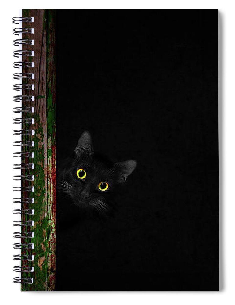 Domestic Cat Spiral Notebook featuring the photograph The Cat That Walked By Himself by Iryna Goodall