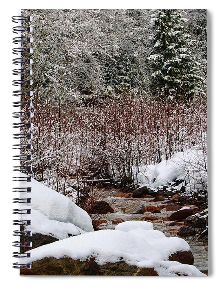 Landscape Spiral Notebook featuring the photograph The Color of Winter by Tikvah's Hope