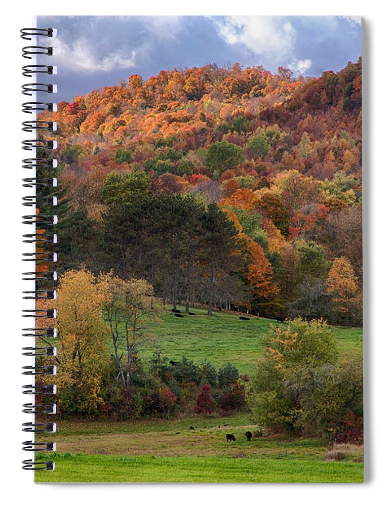 Pomfret Vermont Spiral Notebook featuring the photograph The cows are in the dell by Jeff Folger
