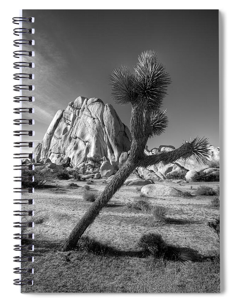 Desert Spiral Notebook featuring the photograph The Crooked Joshua Tree by Peter Tellone