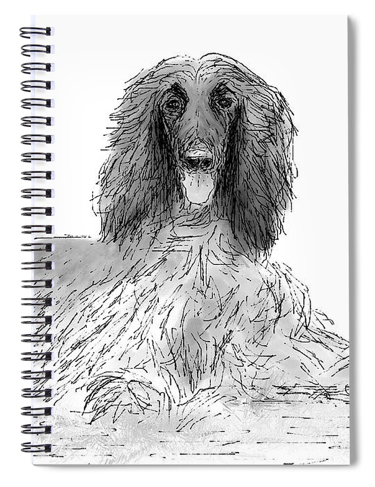 Afghan Hound Spiral Notebook featuring the digital art The Diva by Diane Chandler