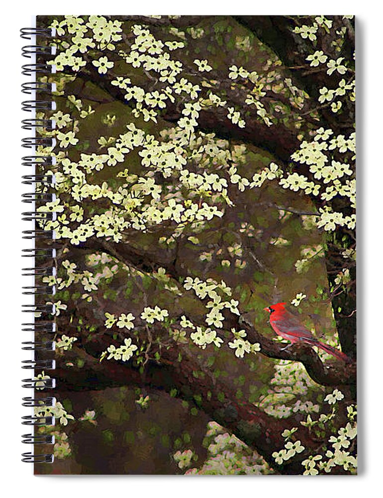 Bird Spiral Notebook featuring the digital art The Dogwoods and the Cardinal by Darren Fisher