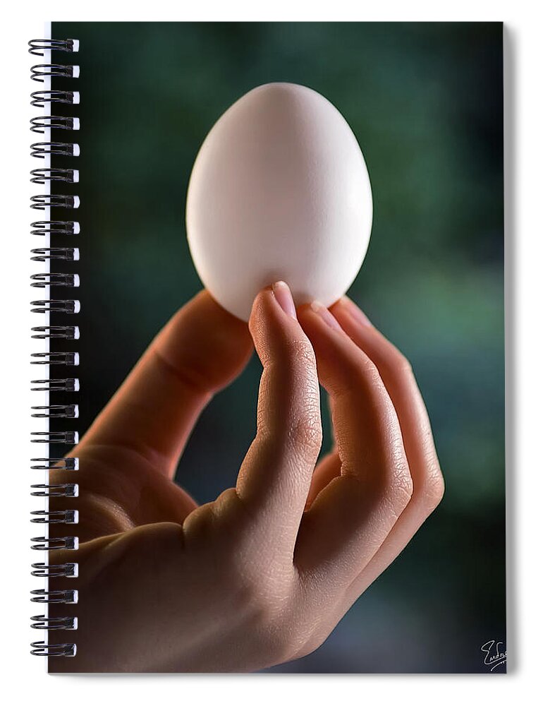 Endre Spiral Notebook featuring the photograph The Egg by Endre Balogh