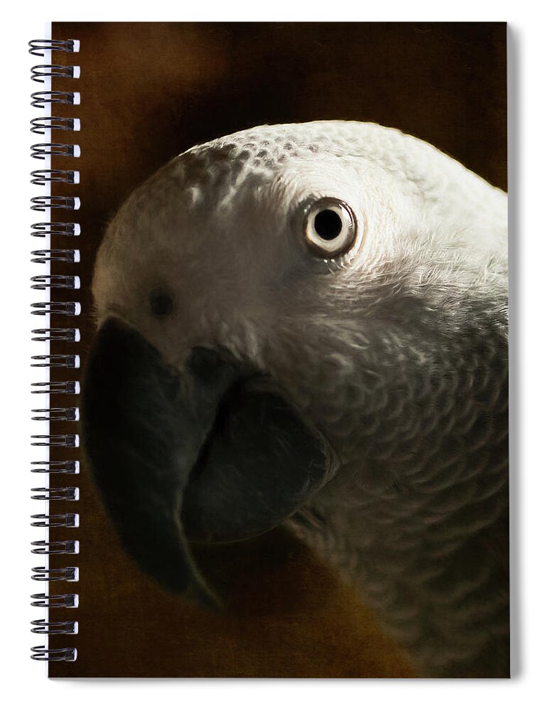 African Grey Spiral Notebook featuring the photograph The Eyes Are The Windows To The Soul by Jennifer Grossnickle