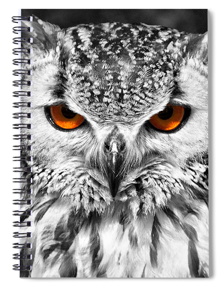 Bengal Owl Spiral Notebook featuring the photograph The Eyes have it by Chris Thaxter