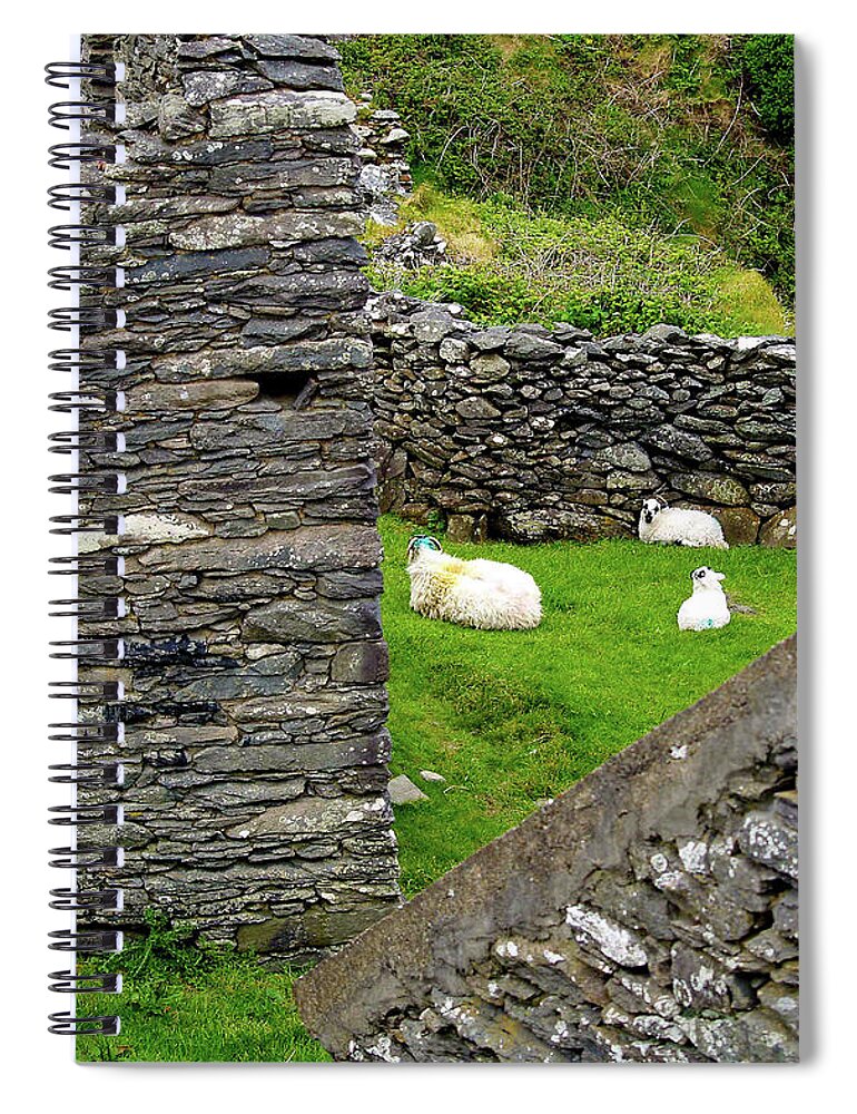Fine Art Photography Spiral Notebook featuring the photograph The Family by Patricia Griffin Brett