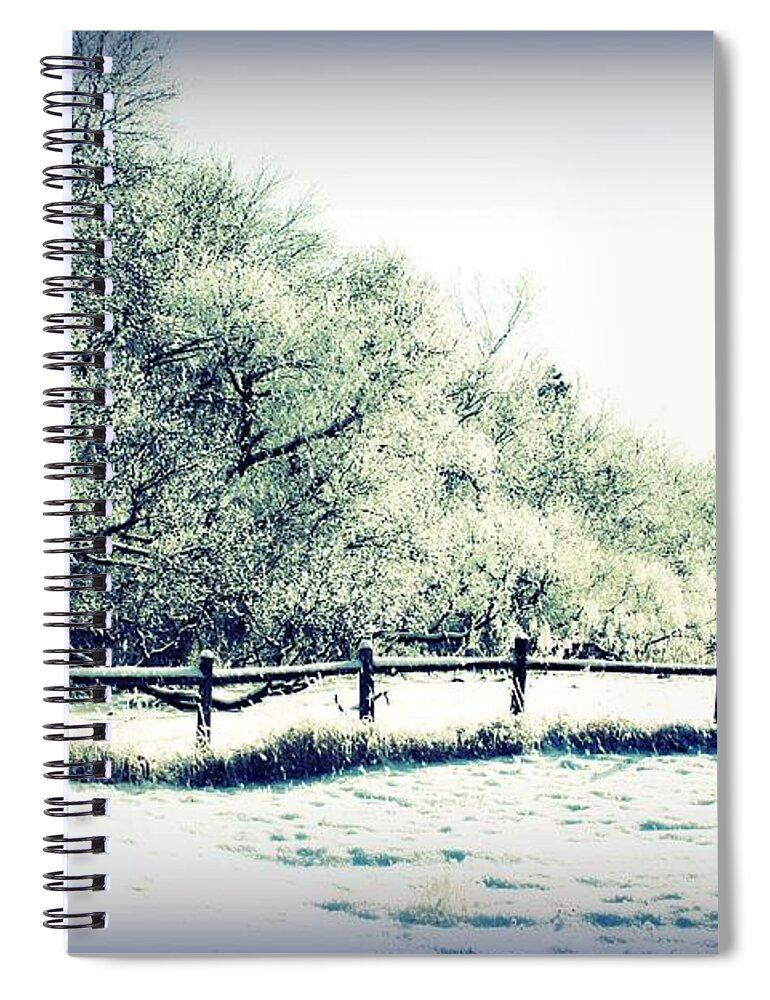 Trees Spiral Notebook featuring the photograph The Fence by Julie Lueders 
