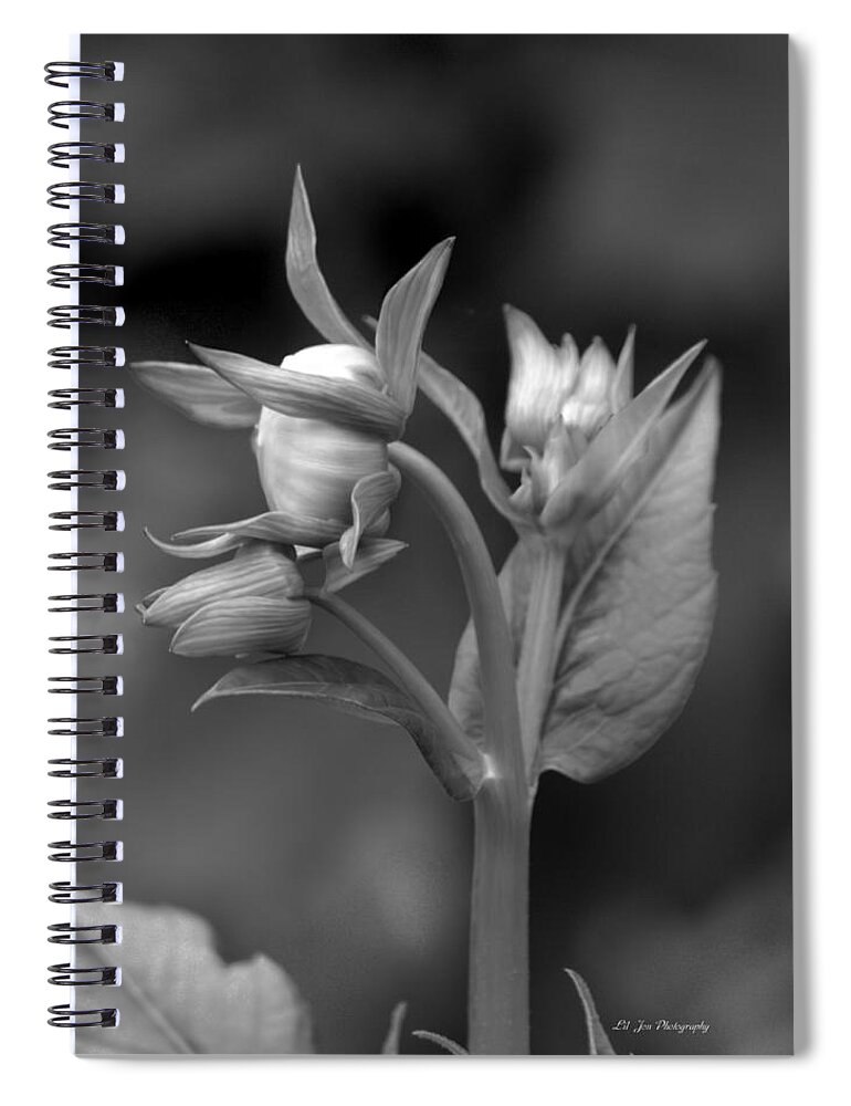 The Finer Things In Life Spiral Notebook featuring the photograph The Finer Things In Life by Jeanette C Landstrom