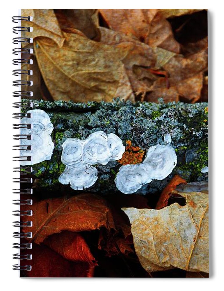 The Forest Floor Spiral Notebook featuring the photograph The Forest Floor - Cascade WI by Mary Machare