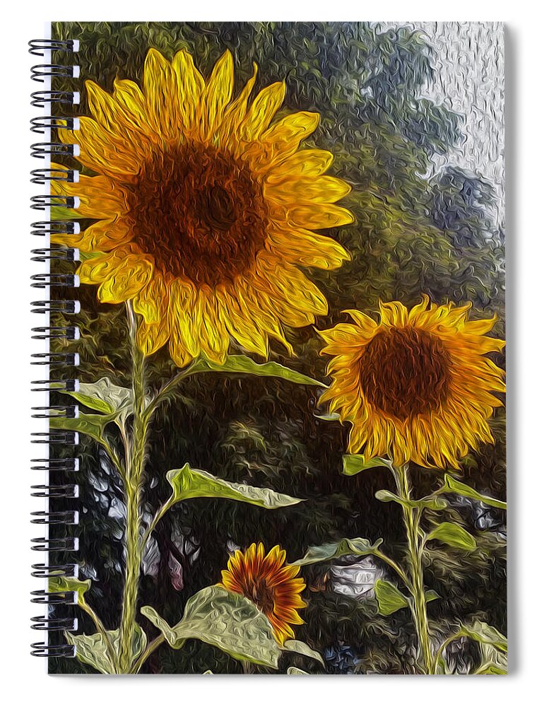 Sunflowers Spiral Notebook featuring the photograph The Gathering by Carol Eliassen