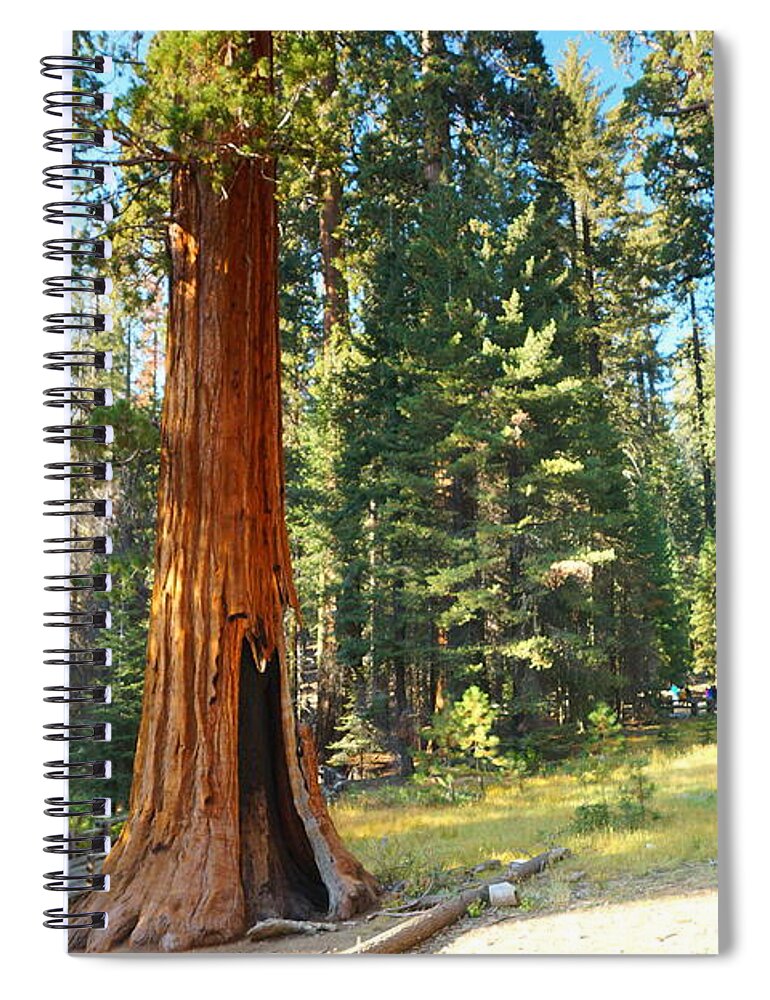 California Spiral Notebook featuring the photograph The General by Beth Collins