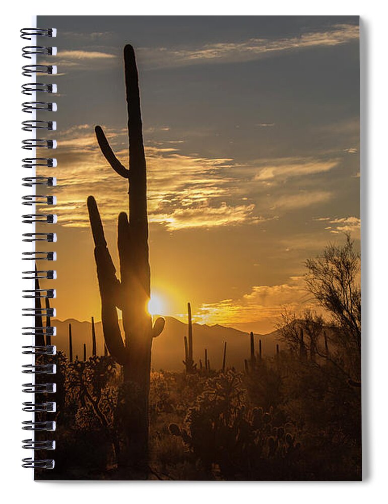Landscape Spiral Notebook featuring the photograph The Golden Hour by Teresa Wilson