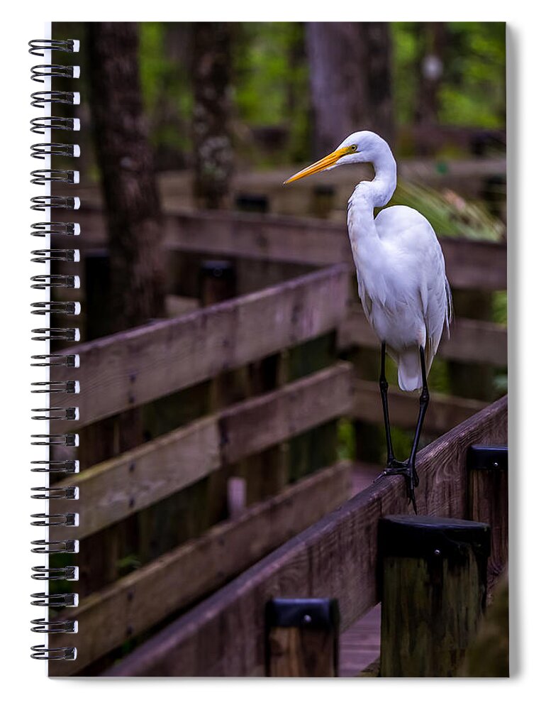 Big Bird Spiral Notebook featuring the photograph The Great Egret by Ron Pate