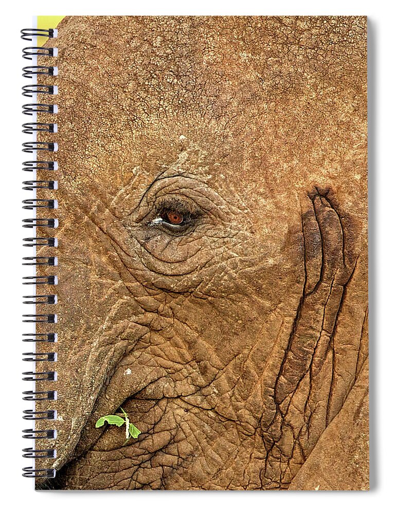 Elephant Spiral Notebook featuring the photograph The Green Sprig by Steven Upton