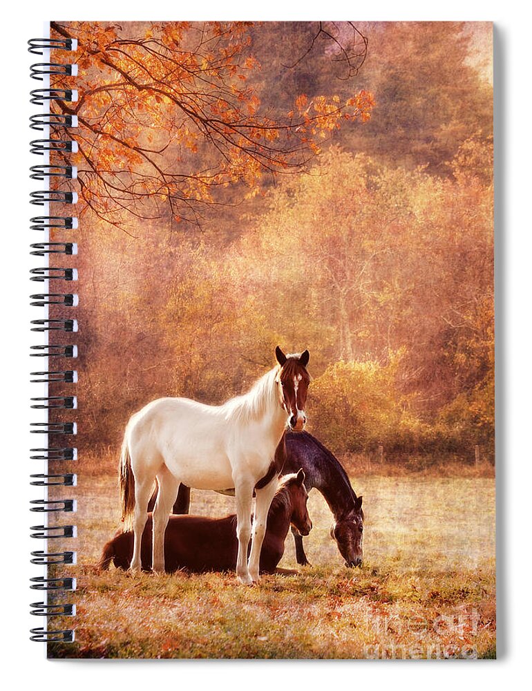 Horse Spiral Notebook featuring the photograph The Guardians by Darren Fisher