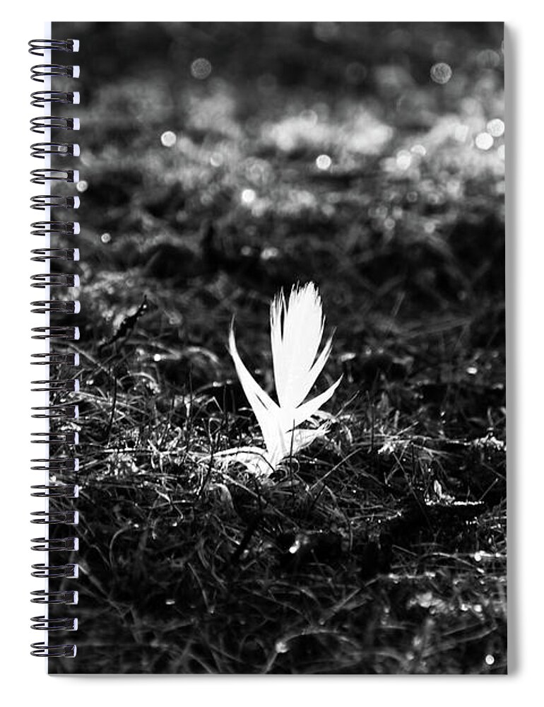 Bradford Spiral Notebook featuring the photograph The Gump by Jez C Self