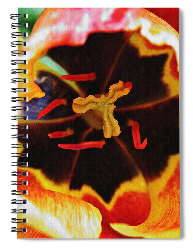 Tulip Spiral Notebook featuring the photograph The Heart of the Matter 2 by Sarah Loft
