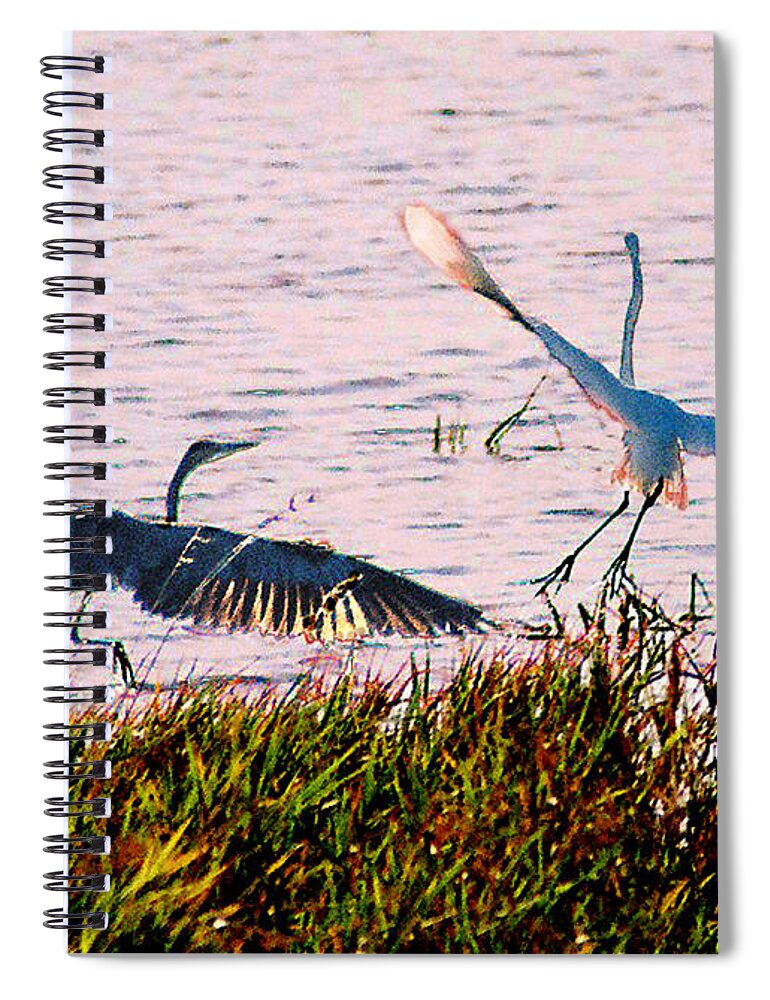 Wild Life Spiral Notebook featuring the photograph The Heron and the Egret by Steve Karol
