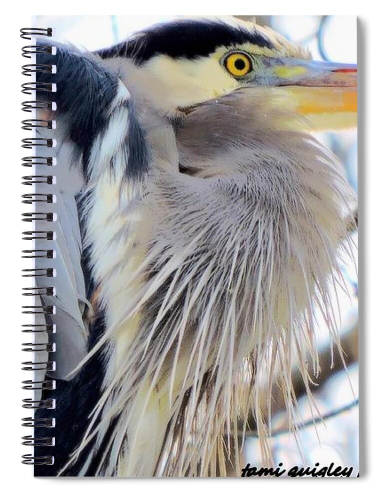 Great Blue Heron Spiral Notebook featuring the photograph The Heron In Winter by Tami Quigley