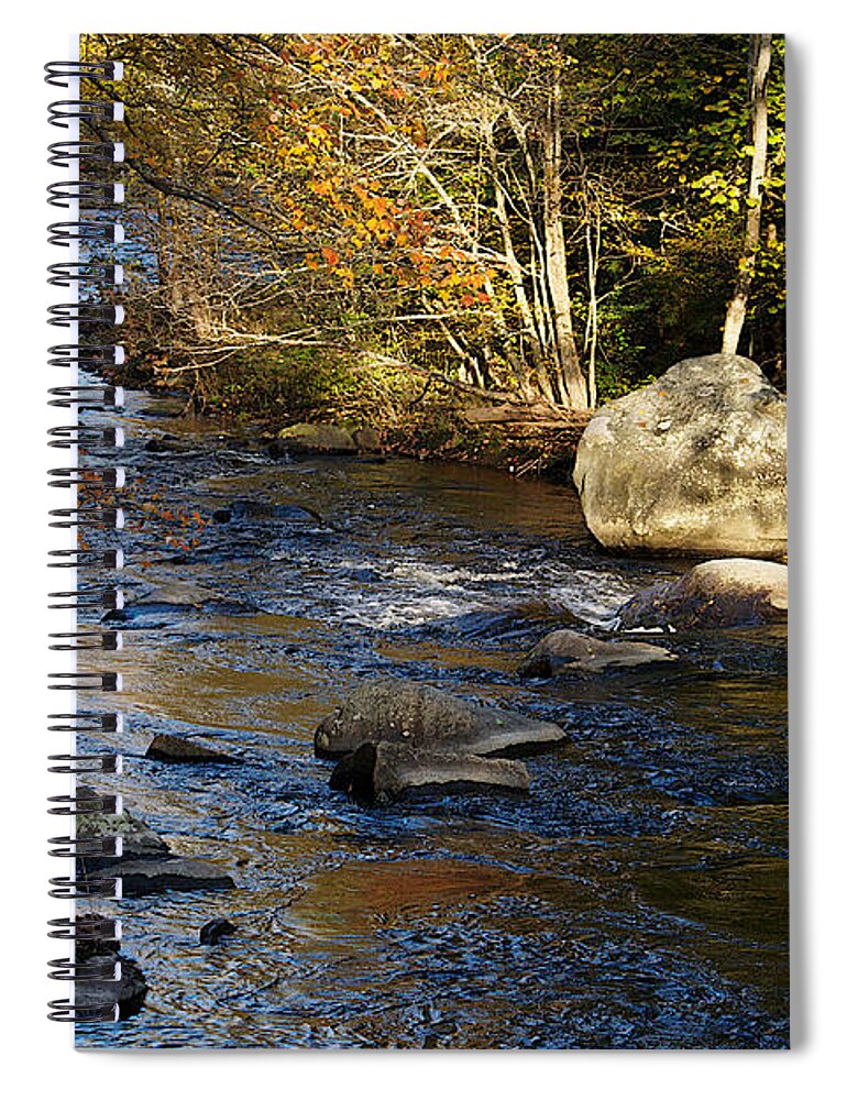 Nature Spiral Notebook featuring the photograph The Hidden Crane by Mike Smale