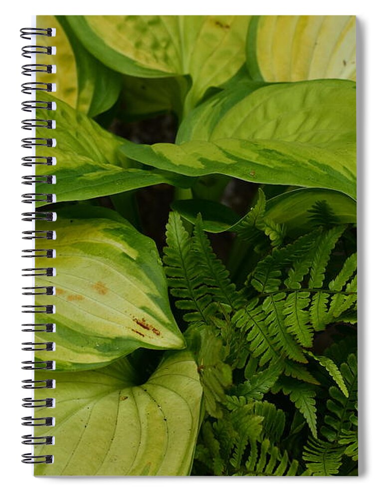 Green Spiral Notebook featuring the photograph The Hostas and The Fern by Jimmy Chuck Smith